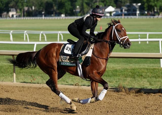 Meet the Belmont Stakes horses running in the 2026 race