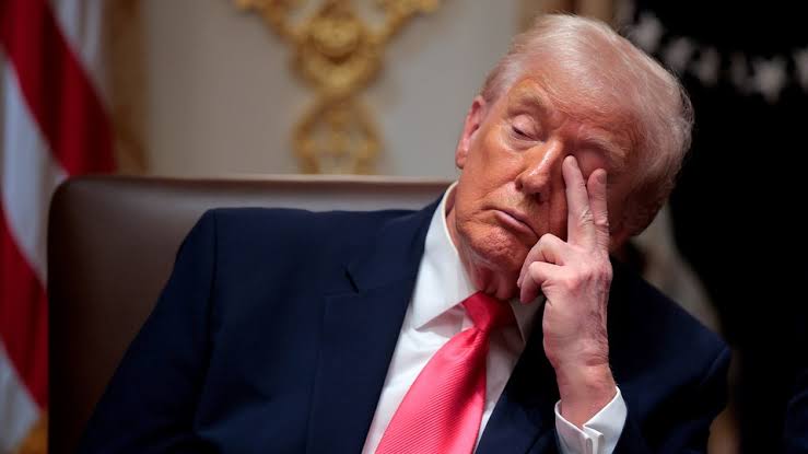Trump Is ‘Bored’ With the War He Started