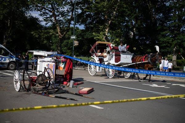 18-Year-Old Dies in Fall From Horse Carriage in Central Park