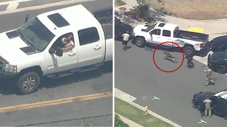 K-9 ends wild chase with suspect in stolen pickup truck from Fontana to Lynwood