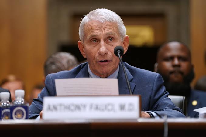 Top CNN anchor delivers shock 4-word verdict on Fauci COVID testimony