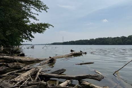 Five people die in attempt to save struggling swimmer in Ohio river