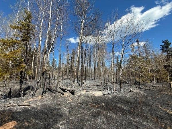 Evacuation orders in place, Highway 61 still closed due to wildfire near Two Harbors