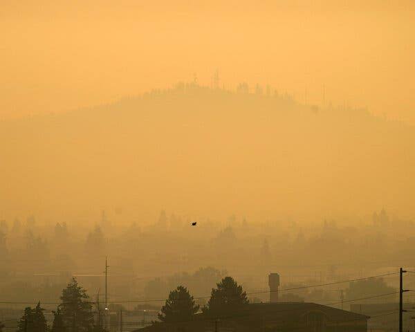 Opinion | My Hometown Went Up in Flames. It Won’t Be the Last.