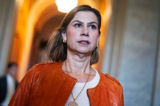 Sen. Slotkin to introduce bill to bar presidents from sending troops or armed federal officers to polling places