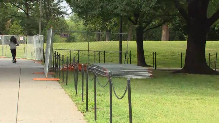 City Wildlife addresses safety concerns for Reflecting Pool ducks