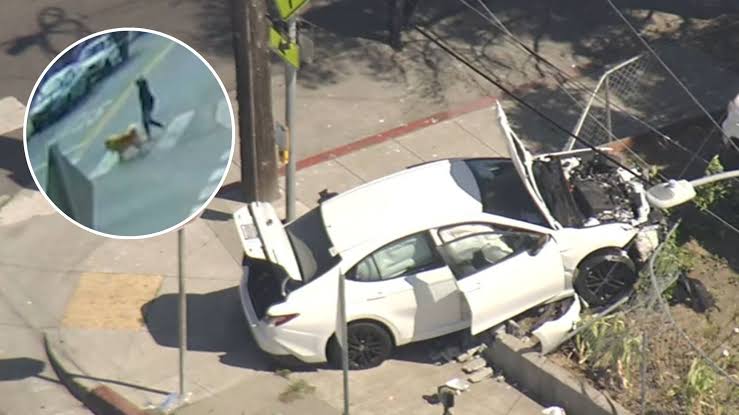 7 and 4-year-old brothers take parents' car, critically injure woman walking dog in Oakland crash
