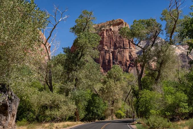 Man arrested in wife’s Angels Landing death found dead ahead of court appearance
