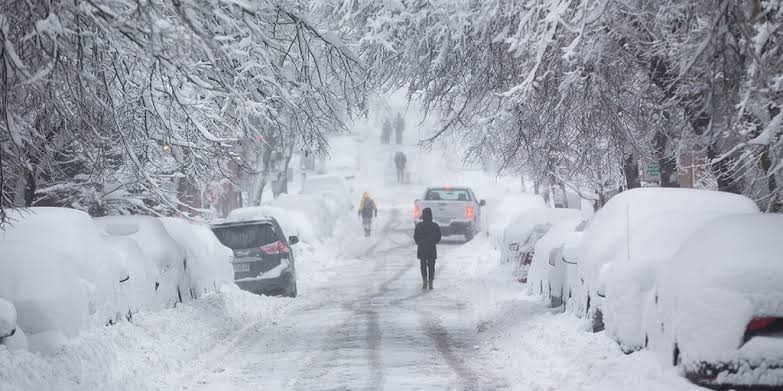Farmers’ Almanac releases 2026-2027 winter forecast: What to expect across the U.S.