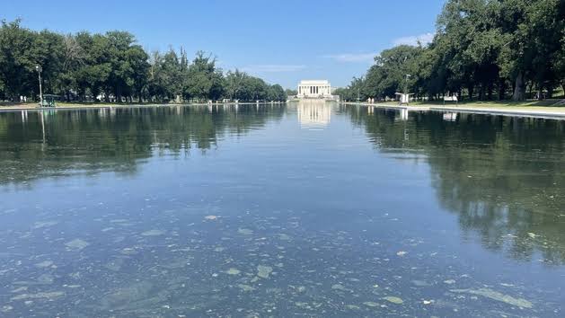 Algae resurfaces in reflecting pool after multimillion-dollar fixes