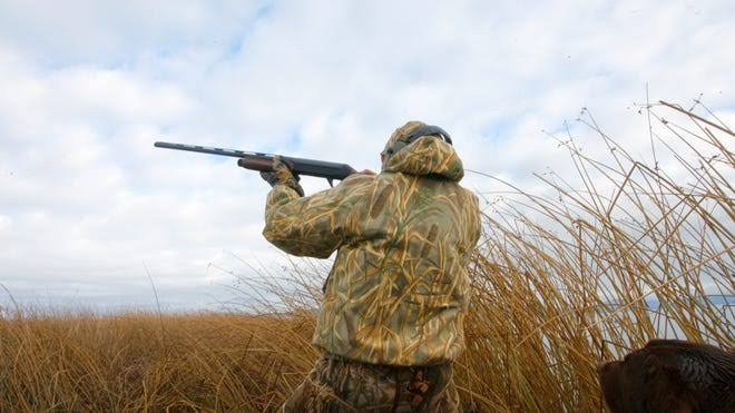 Oregon hunting and fishing ban IP 28 will not be on November ballot