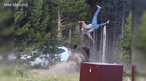 Behind the viral video: Photographer describes Yellowstone bison attack