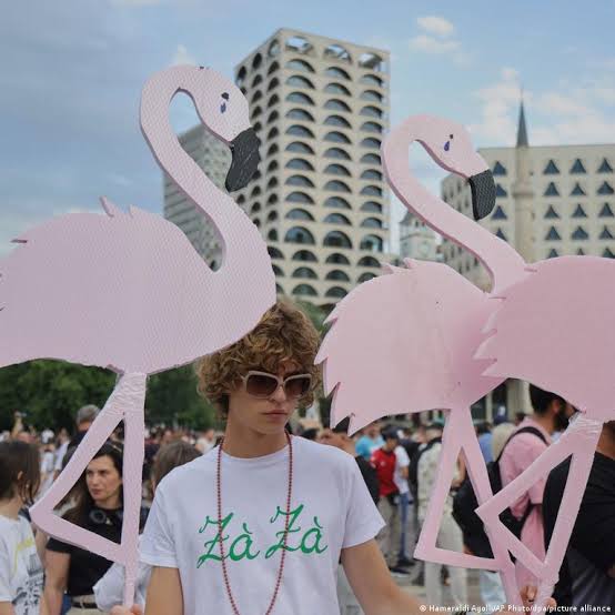 Jared Kushner's Albania resort sparks protests, EU concerns