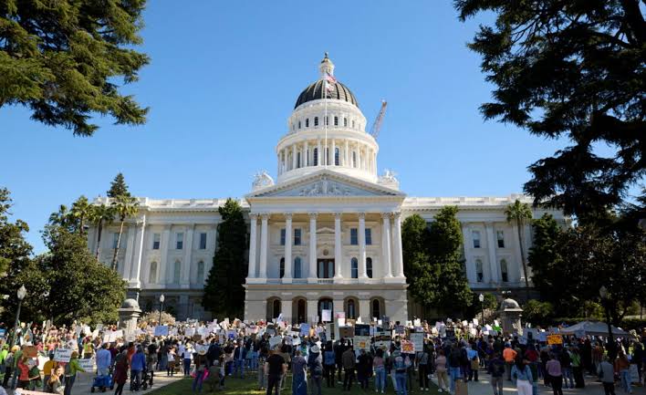 The candidates still in the running for California governor