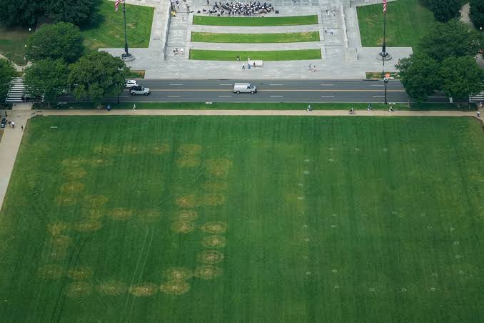 Large etchings of numbers signaling opposition to Trump appear on National Mall