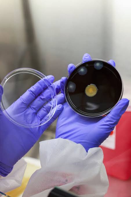 Two More Patients Die in Outbreak of Legionnaires’ Disease in Manhattan