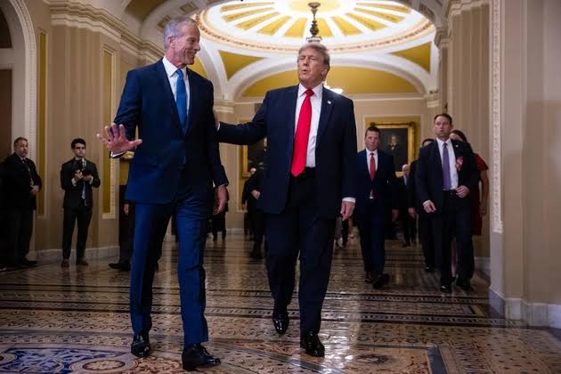 ‘A circular firing squad’: Senate GOP pushes back on Trump’s tiff with Thune