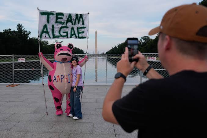 Trump’s algae-green Reflecting Pool ‘wins the internet’ as butt of viral memes