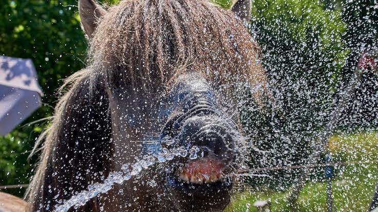 Another heat record broken in Germany