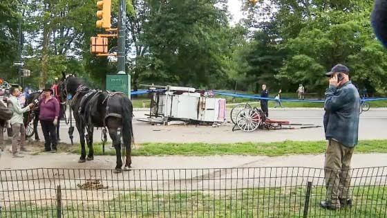 Family of teen killed in Central Park carriage remembers him: ‘We never knew this was his last day’