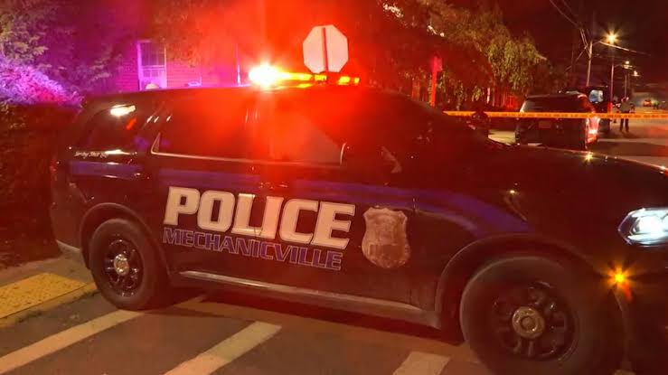 Grandmother suspected in deaths of 4 grandchildren, daughter in New York home: Police