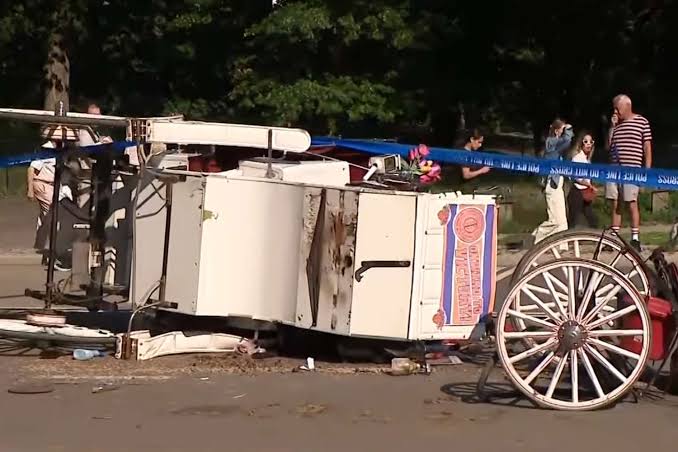 Teen Tourist, 18, Killed After Central Park Carriage Horse Gets Loose