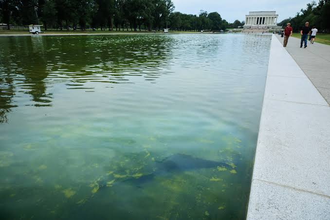 Trump claims he’ll sue ABC over Reflecting Pool coverage: ‘I like their money’