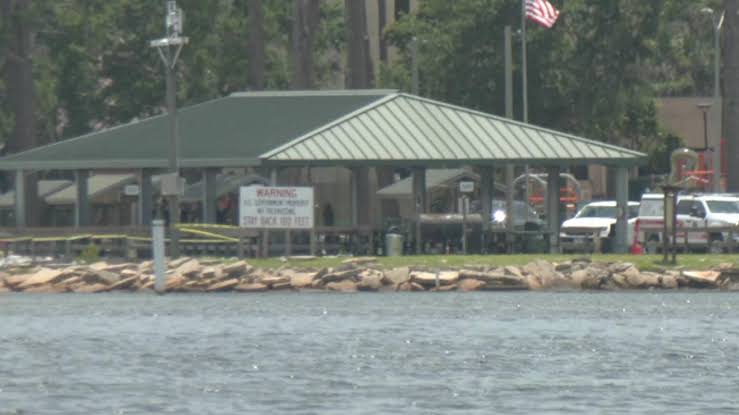 Navy base employee critically injured in shark attack in Florida