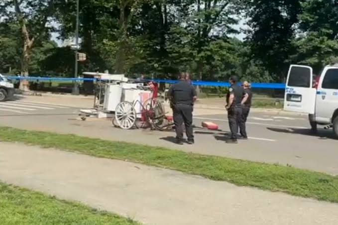 Teenager dies after being thrown from horse-drawn carriage in NYC’s Central Park