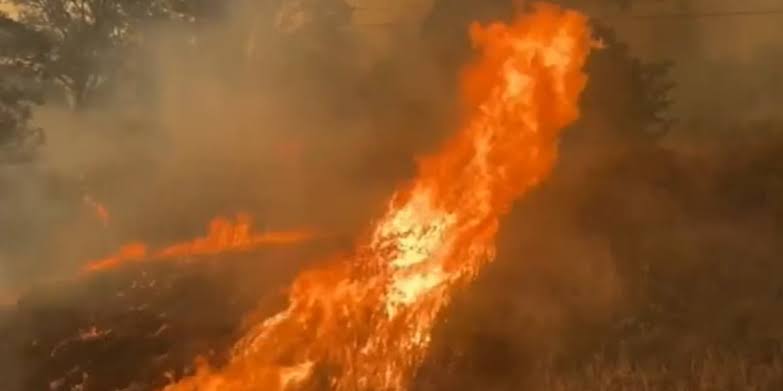 Oregon governor declares state of emergency over wildfire threat