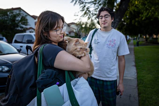Most O.C. residents forced by chemical crisis to evacuate can return home, officials say