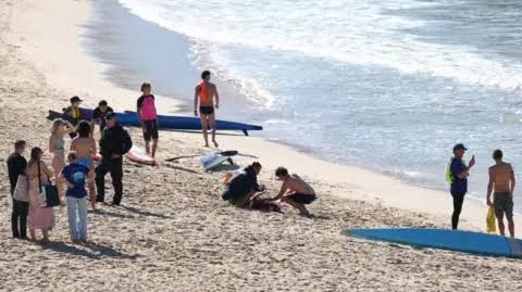 Woman seriously injured in shark attack at Sydney beach