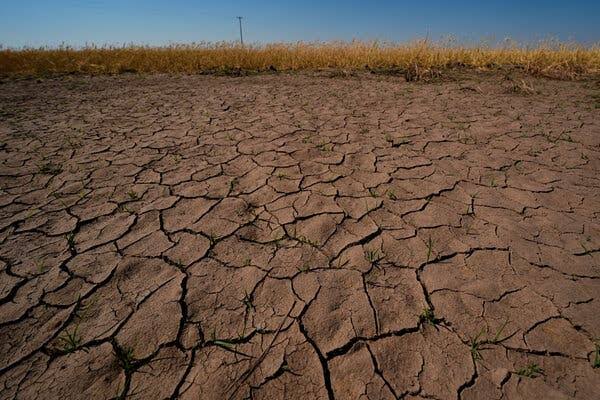 NOAA Issues El Nino Advisory