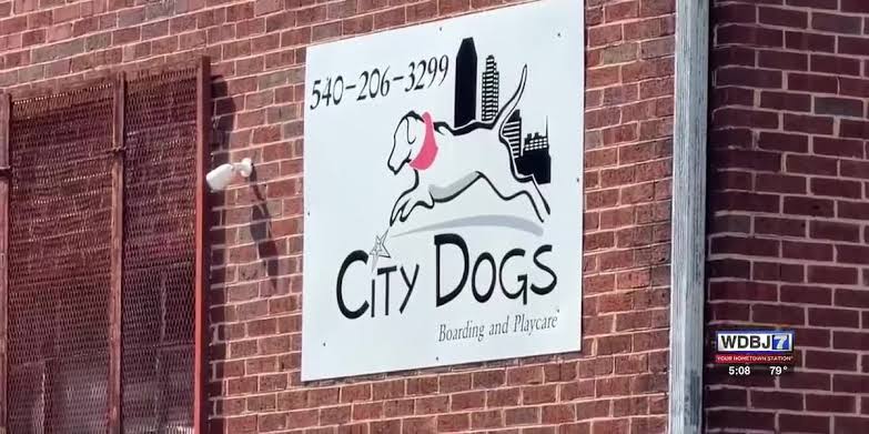 Search warrant details conditions found at Roanoke dog boarding & daycare facility