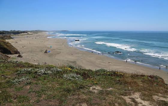 Remains of banker missing since 1999 found on California beach by family looking for seashells