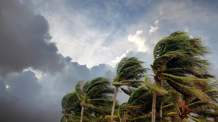 Tropical Storm Bertha forms off the Florida coast, prompting storm alerts