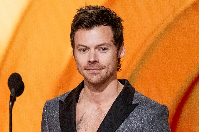 Harry Styles Tour Rep Responds to Fan Complaints About Poor Sightlines