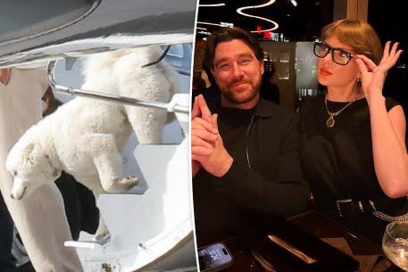 Exclusive | New details on Taylor Swift and Travis Kelce’s pet dog revealed
