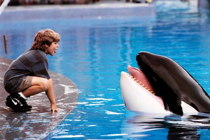 ‘Free Willy’ Reboot in the Works at Warner Bros.