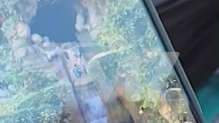 Caught on camera: 13-year-old falls 50 feet down Disneyland log ride drop