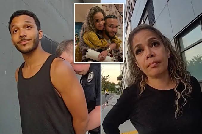 Sunny Hostin tried to talk cops of out busting her Harvard-educated son for trespassing on Metro-North tracks: ‘He has no criminal record’