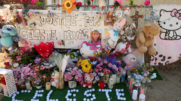 Final texts from 14-year-old girl to singer D4vd shown in court at hearing on her killing