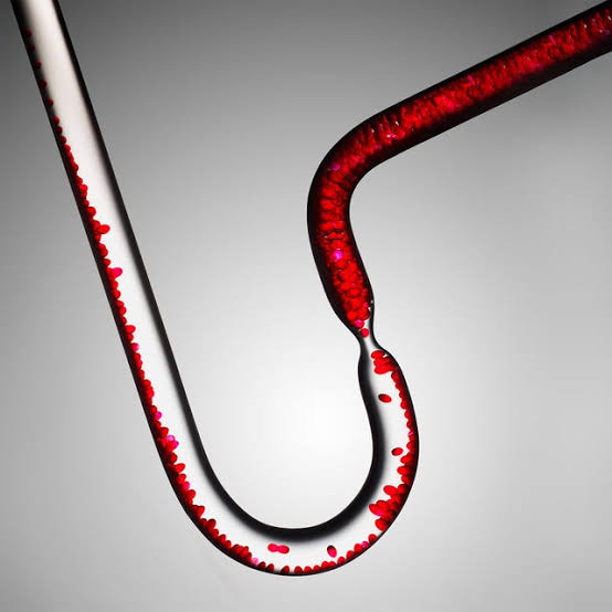 A Better Way to Manage Cholesterol Is Here. This is What to Do—and What to Ignore.