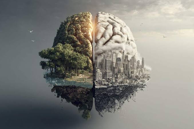How Your Neighborhood and Nation Shape Your Brain’s Age