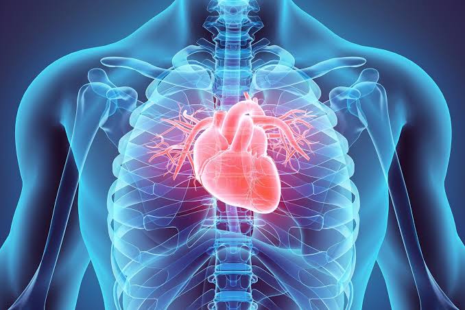 Your Diet Could Be Missing the Key Ingredient for Heart Protection