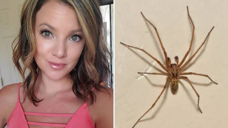 Mum of four fighting for life after spider bite