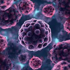 KRAS inhibitor therapy for pancreatic cancer