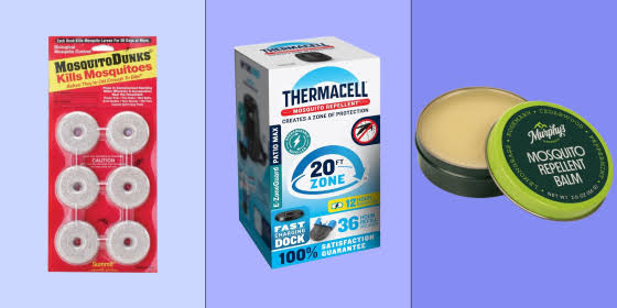 How to get rid of mosquitoes and keep your home 100% bug free this year