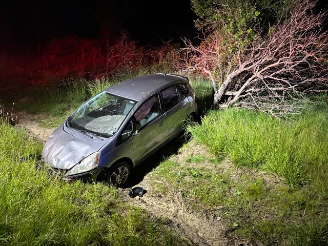 Driver injured after avoiding hitting a deer in DeKalb County