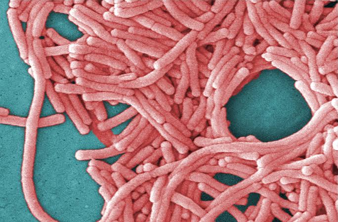 Upper East Side Legionnaires' cases now at 14, NYC health department says
